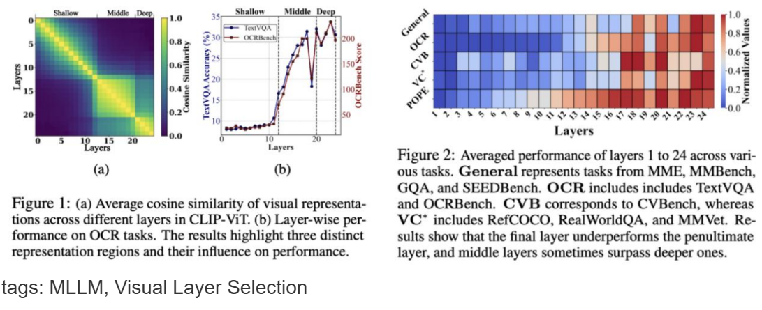 Multimodal Language Models See Better When They Look Shallower