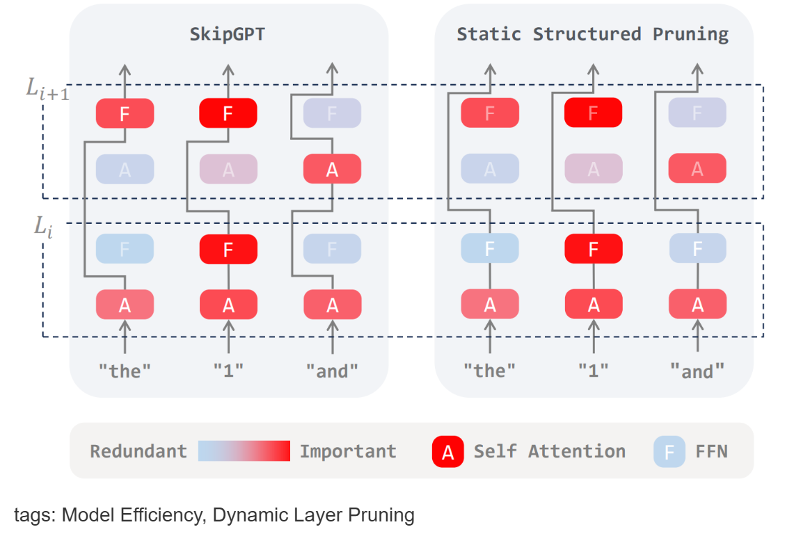 SkipGPT: Each Token is One of a Kind